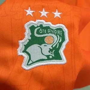 Côte d'Ivoire national team elephant crest on orange jersey via Custom Soccer Jersey Embroidery.